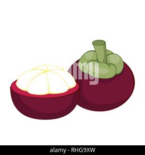 Abbildung: frisches Obst mangosteen, auf weißem Hintergrund, frische, gesunde Lebensmittel, Bio natürliche Frucht. Vector Illustration. Stock Vektor