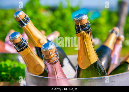 Flaschen Champagner, Sekt im Kühler bei Hochzeit im Freien, Hochzeit und Summer Party Konzept Stockfoto