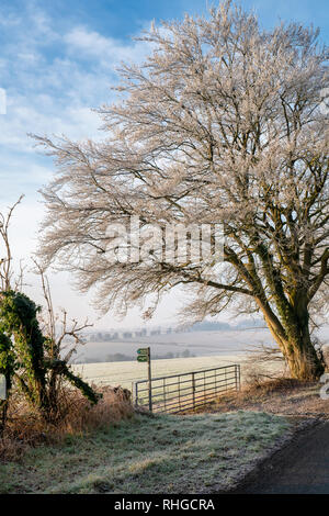 Frostigen Januar Morgen entlang der d'Arcy dalton Weg. In der Nähe von Burford, Oxfordshire Oxfordshire, England Stockfoto