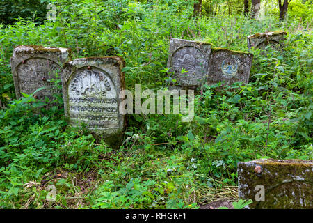 Jüdischer Friedhof in Szczebrzeszyn, Polen Stockfoto