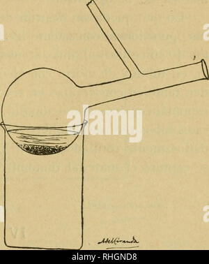 . Boletin de pescas. Fischerei. 40.^ - por un tapón de Caucho atravesado por un Tubo de Vidrio que llega casi al Fondo, y en su parte Superior se ensancha en Embudo. Se Einführung en el matraz el material de ensa-yo y por el embudo se echa ácido nítrico en cantidad Sufi - ciente para que Lo cubra. El Tubo seitliche, que Parte del cue-llo del matraz, se une por Medio de un Pequeño trozo de Tubo de Goma con otro doblado en ángulo Recto, que se in-troduce en un vaso que contiene Agua con Sulfa - ferroso, El cual absor-los vapores tomando un Farbe obscuro de coci-miento de Café. El Tiempo qu Stockfoto