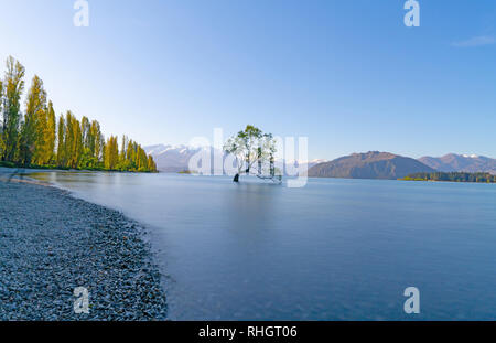 Schattenhafte Rand von See mit 1, Wanaka Baum, Willow Tree wächst in See ist beliebte Szene in langen Belichtung und Touristen auf See verschwommen t Stockfoto