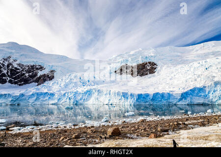 Große antarktische Gletscher in den antarktischen Gewässern Nechos bucht, Antarktis Stockfoto