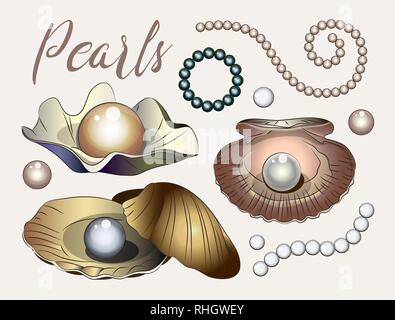 Satz von Shell mit Perle auf hellen Hintergrund isoliert. Vector Illustration. Stock Vektor
