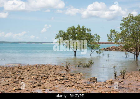 Timor Sea View mit einem ​Rocky Strand und natürlichen Mangroven Lebensraum in Darwin, Australien Stockfoto