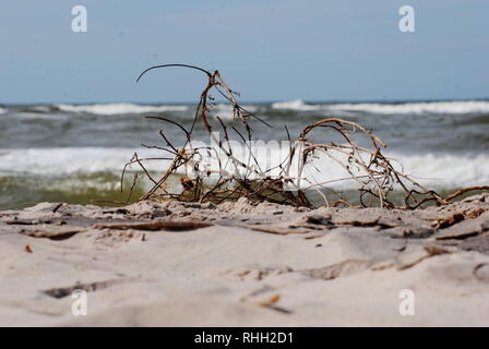 Sandy, Seaside Beach Stockfoto