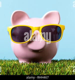 Sparschwein gras Freiheit Reichtum Konzept Stockfoto