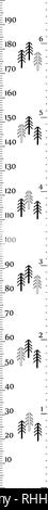 Kinder Höhe chart in minimalistischen skandinavischen Stil mit niedlichen Bäume. Meter Wand oder Höhe Meter, Zentimeter und Zoll. Vector Illustration. Stock Vektor