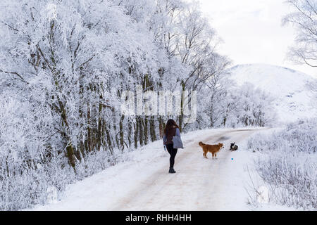 Raureif verwandelt die Szene in ein Wintermärchen auf dem langen Weg durch Coupall fällt zu Glen Etive auf Rannoch Moor, Highlands, Schottland im Winter Stockfoto