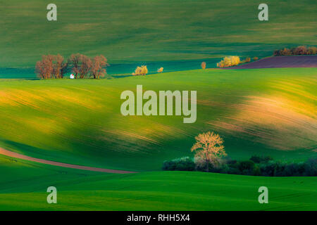 Wunderschöne Landschaft des Mährischen Toskana. Stockfoto