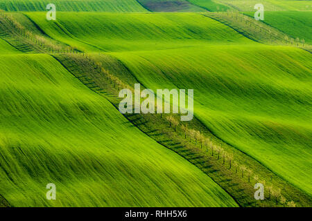 Wunderschöne Landschaft des Mährischen Toskana. Stockfoto