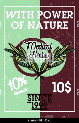 Farbe vintage medizinische Pflanzen Kräuter Banner. Vector Illustration, EPS 10. Stock Vektor