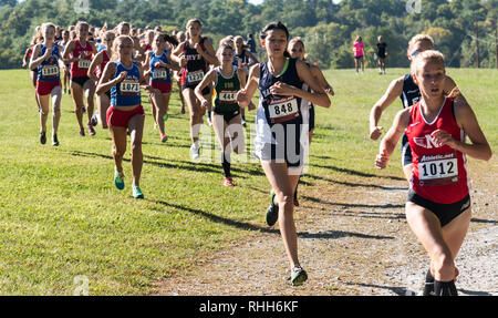 Wappingers Falls, New York, USA - 23. September 2017: Die Leitung der Packung mit den Varsity high school Mädchen Cross Country Rennen am Bowdoin College Park Cross Count Stockfoto