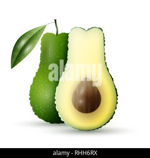 Realistische Vektor avocados Abbildung. Ganze und halbe Avocado auf weißem Hintergrund. Stock Vektor
