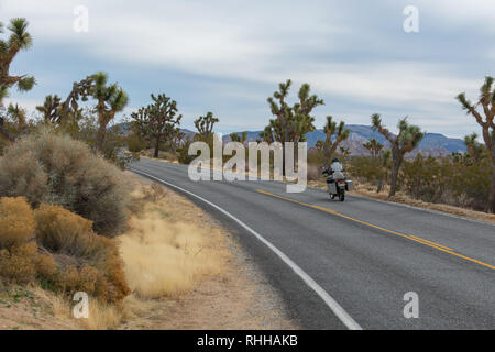 Motorradfahrer fahren auf asphaltierten Straße durch die Wüste in der Joshua Tree National Park, Kalifornien, USA Stockfoto