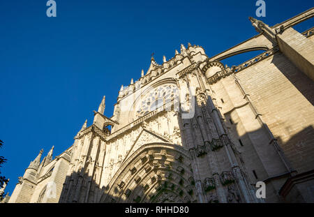 Die Kathedrale der Heiligen Maria des Siehe oder Catedral de Sevilla Stockfoto