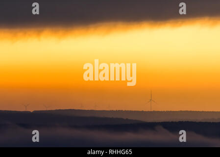 Die Sonne über die Windkraftanlagen am Rande des Waldes Stockfoto