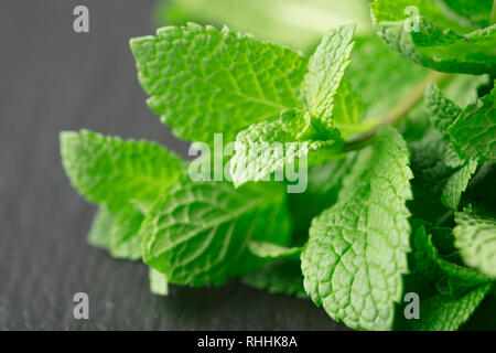 Bündel frische Minze auf schiefer Hintergrund Stockfoto