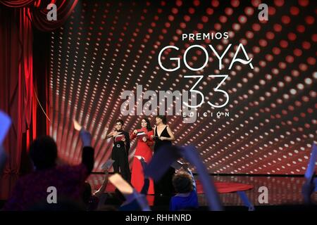 Sevilla, Spanien. 2. Feb 2019. Zeremonie der Etagen 33 jährliche Goya Filmpreis in Sevilla, am Samstag, den 2. Februar, 2019. Credit: CORDON PRESSE/Alamy leben Nachrichten Stockfoto