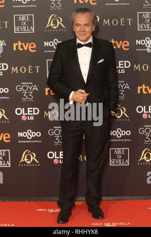 Sevilla, Spanien. 2. Feb 2019. (Sevilla) 33 Ausgabe der spanischen Film Goya Awards in der Stadt Sevilla im Foto statt der Schauspieler Jose Coronado Credit: Lorenzo Carnero/ZUMA Draht/Alamy leben Nachrichten Stockfoto