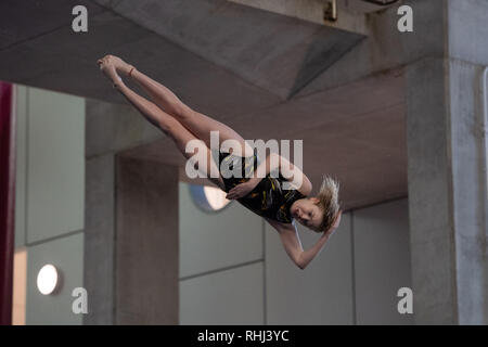 Plymouth, Großbritannien. 3. Feb 2019. Callie Eaqlestone - bei Frauen 3M Vorläufige kalt während British National Diving Cup 2019 in Plymouth Life Center am Sonntag, den 03. Februar 2019. PLYMOUTH ENGLAND. (Nur redaktionelle Nutzung, eine Lizenz für die gewerbliche Nutzung erforderlich. Keine Verwendung in Wetten, Spiele oder einer einzelnen Verein/Liga/player Publikationen.) Credit: Taka G Wu/Alamy News Credit: Taka Wu/Alamy leben Nachrichten Stockfoto