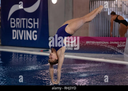 Plymouth, Großbritannien. 3. Feb 2019. Katherine Torrance - bei Frauen 3M Vorläufige kalt während British National Diving Cup 2019 in Plymouth Life Center am Sonntag, den 03. Februar 2019. PLYMOUTH ENGLAND. (Nur redaktionelle Nutzung, eine Lizenz für die gewerbliche Nutzung erforderlich. Keine Verwendung in Wetten, Spiele oder einer einzelnen Verein/Liga/player Publikationen.) Credit: Taka G Wu/Alamy News Credit: Taka Wu/Alamy leben Nachrichten Stockfoto