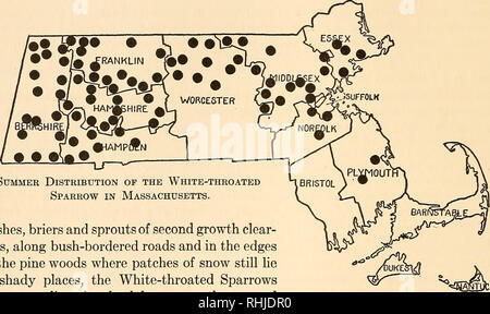 . Vögel von Massachusetts und anderen Neu-England-Staaten. Vögel, Vögel. 74 Vögel von Massachusetts spukt und Gewohnheiten. Es ist April. Im letzten Winter gegangen ist, nach vielen Tagen der Schnee und andere nördliche und östliche Gales, und die Sonne geht auf - ein perfekter Tag. Der Morgen beginnt mit einem Chor von Robin song, vermischten sich wenig später mit dem Triller von Chipping Sparrow, der Jingle der Song Sparrow, die glockengebimmel Grackles und die Liebe Noten von flackert. Weiche Regenfront breezes Blätter des letzten Jahres rühren; Fliegen und Mücken Summen über im Sonnenlicht; ein paar tolle Bienen sind Murmeln über im Grünen Stockfoto