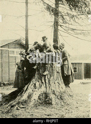 . Vogel Lore. Vögel; Vögel; Ornithologie. Die Audubon Gesellschaften 363 DREI-JÄHRIGE JUNIOR AUDUBON KLASSE der Multnomah Junior Audubon Club Der Club vom 26. April 1915 organisiert wurde, mit 33 Mitgliedern. Wir haben unsere Treffen in der Schule Grove bei gutem Wetter, und alle Kinder nehmen an dem Programm teil. Im Winter haben wir lec-turen von W. L. Finley, Dr. Hodge, und andere dargestellt. Viele unglückliche Vögel mit Unfall getroffen haben, wurden für die von den Mitgliedern, gepflegt und Al - obwohl Dies ist das dritte Jahr seit unserer Organisation, die Kinder noch eine interessierte Stockfoto