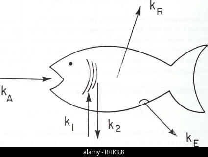 . Biosorption, Bioakkumulation und food chain Transfer von organischen Chemikalien: Bericht von F.A.P.C. Gobas und D. Mackay. Bioakkumulation; Wasser. M.. Abbildung 5.3 Schematische Darstellung des chemischen Aufnahme in Fisch aus Wasser (k) und Essen (k^) und die Ausscheidung durch Beseitigung zum Wasser (KJ), Beseitigung in den faeces (kg) und metabolische Umwandlung (k ^). Siehe Text führt zu Gleichung 5.4 für Begründung und Definition der Begriffe und der Massenbilanz Umschlag.. Bitte beachten Sie, dass diese Bilder aus gescannten Seite Bilder, die digital für die Lesbarkeit erhöht worden sein können extrahiert werden - Farbe Stockfoto
