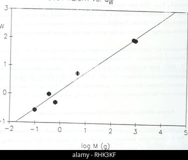 . Biosorption, Bioakkumulation und food chain Transfer von organischen Chemikalien: Bericht von F.A.P.C. Gobas und D. Mackay. Bioakkumulation; Wasser. 79 KÖRPERGEWICHT VS. Q log Q,. Abbildung 4.5: Der Logarithmus der Wasserphase transport-Parameter in Fisch Qw (L/D) als Funktion des Logarithmus des Körpergewichts M (Gramm) der Fische.. Bitte beachten Sie, dass diese Bilder sind von der gescannten Seite Bilder, die digital für die Lesbarkeit verbessert haben mögen - Färbung und Aussehen dieser Abbildungen können nicht perfekt dem Original ähneln. extrahiert. Gobas, F. A. S. C; Mackay, D.: Toronto Ontar Stockfoto