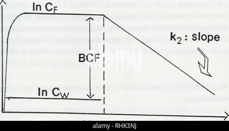 . Biosorption, Bioakkumulation und food chain Transfer von organischen Chemikalien: Bericht von F.A.P.C. Gobas und D. Mackay. Bioakkumulation; Wasser. Zeit k2: Hang. Zeit Abbildung 3.1 Beispiel demonstriert, dass (i) - Links - wenn ein Fisch ausgesetzt ist, zu einer chemischen Konzentration im Wasser (Cw), der wi^h tiL" un?r? Rf'° "h'"' "''" ^^^^^^^^ erhöht exponentlan" mit der Zeit bis auf eine konstante Konzentration (d. h. staatliche erreicht worden ist); (ii) - recht - wenn ausgesetzt ist, sauberen, unberührten (Cw = 0) Wasser thp Oh*. mi^= ich Konzentration in den Fischen verringert Stockfoto
