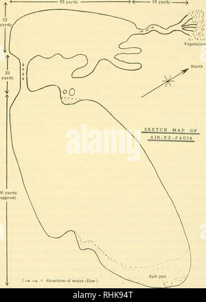 . Biologie der Wüsten: Die Proceedings eines Symposiums über die Biologie von heißen und kalten Wüsten vom Institut für Biologie organisiert. Wüsten. Nächte. Die anderen drei Seen wurden alle an einem Tag und erhielt nur eine oberflächliche Prüfung besucht. Allgemeine Beschreibung der Ain-ez-Zauia, den See, die angeblich die Produk-ten im Bereich sein, lag 20 Meilen S.W. von El Agheila in einer langen, schmalen salt Plain. Es gibt zwei Pools von ungleicher Größe von einem schnell fließenden Bach (Abb. verbunden. 1). Der See wurde von einem warmen Frühling im kleineren Abschnitt Steigende geliefert, für Wasser der Tempera- tur 30-52? C (Schatten te Stockfoto