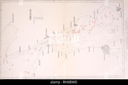 . Biologisch-faunistische Untersuchungen aus dem Öresund. V. Polychaeta. Mit Karte und 18 Textfiguren. . Bitte beachten Sie, dass diese Bilder sind von der gescannten Seite Bilder, die digital für die Lesbarkeit verbessert haben mögen - Färbung und Aussehen dieser Abbildungen können nicht perfekt dem Original ähneln. extrahiert. Eliason, Anders. Lund, C. W. K. Gleerup; Leipzig, Otto Harrassowitz Stockfoto