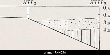. Biologisch-faunistische Untersuchungen aus dem Öresund. 26. 2. 1892 XI ich. Textfig. 10. Längssektion durch den Öresund, südlich von der Linie Landskrona - Vedbsek (Profil XIII). Temperatur 5/6 der Zeit 1. 5. 1891 - 26. 2. 1892. Tiefe zu je 5 Faden abgesetzt (/ Rokdam). Bitte beachten Sie, dass diese Bilder sind von der gescannten Seite Bilder, die digital für die Lesbarkeit verbessert haben mögen - Färbung und Aussehen dieser Abbildungen können nicht perfekt dem Original ähneln. extrahiert. Ider, Wilhelm, 1888 -. Lund, C. W. K. Gleerup; Leipzig, Otto Harrassowitz Stockfoto