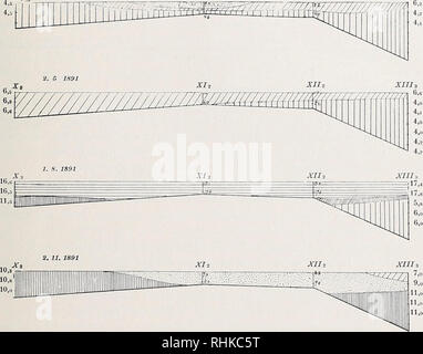. Biologisch-faunistische Untersuchungen aus dem Öresund. Biologisch-faunistische Untersuchungen aus dem Öresund 31 Teile Linie, Örestvisten in zwei verschiedenen Gebieten Angehörige - somit scheidet, wurde mir nicht berechtigt zu sein scheint. Wenn man weiter sterben hydrographischen Bedingungen dieses Gehietes in Tracht ziehen wird, um zu untersuchen inwiefern diejenigen des Oresunds mit den X*n XI XII 2 XIII 3. 26. 2. 1892 XI ich. Bitte beachten Sie, dass diese Bilder aus gescannten Seite Bilder, die digital für die Lesbarkeit verbessert haben mögen - Färbung und Aussehen Dieser Lllustrat extrahiert werden Stockfoto