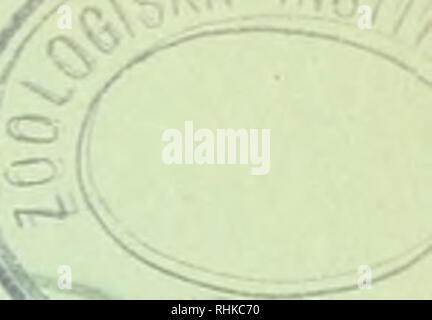 . Biologisch-faunistische Untersuchungen aus dem Öresund. V. Polychaeta. Mit Karte und 18 Textfiguren. . "V. BIOLOGISCH-FAUNISTISCHE UNTERSUCHUNGEN AUS DEM ÖRESUND V. POLYCH^ TA UND. ELIASON MIT KARTE UND 18 TEXTEIGUREN (Arbeit uns dein ZoolOf, 'iscIiiMi iukI liisliliil zu I.) J. UND C. W. K. GLKKRUP Li': ir/i (; OTTO HAUHASSOWri'Z SMITHSÖNIAN INSTITUTIOll WASHINOTON2S. DX.. Bitte beachten Sie, dass diese Bilder aus gescannten Seite Bilder, die digital für die Lesbarkeit verbessert haben mögen - Färbung und Aussehen dieser Abbildungen können nicht perfekt die orig ähneln extrahiert werden Stockfoto