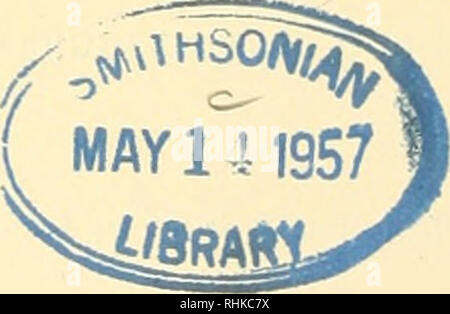 . Biologisch-faunistische Untersuchungen aus dem Öresund. V. Polychaeta. Mit Karte und 18 Textfiguren. Der K. Plij" aiographisclien Gesellschaft am 8. Mai 1918 vorgelegt. LUND 1920 HAKAN ÜHI. SSONS BUCHDRUCKKRBI. Bitte beachten Sie, dass diese Bilder sind von der gescannten Seite Bilder, die digital für die Lesbarkeit verbessert haben mögen - Färbung und Aussehen dieser Abbildungen können nicht perfekt dem Original ähneln. extrahiert. Eliason, Anders. Lund, C. W. K. Gleerup; Leipzig, Otto Harrassowitz Stockfoto