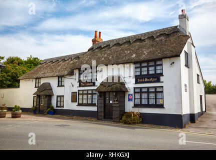 LYME REGIS, ENGLAND - 12. MAI 2009: Der Blick auf das schöne Reetdachhaus von London Guesthouse in Lyme Regis. West Dorset. England Stockfoto
