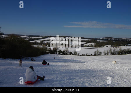 Winter auf egford Hill, Frome, Somerset Stockfoto