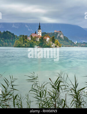 Kirche Mariä Himmelfahrt auf Blejski Otok mit Burg von Bled, Bled, Bled, Gorenjska, Slowenien Stockfoto