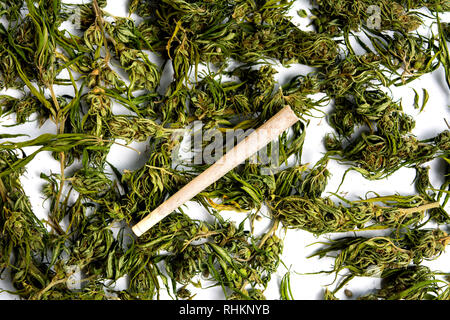 Marihuana Cannabis hanf und eine gemeinsame auf weißem Top View Stockfoto