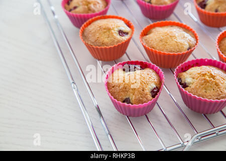 Hausgemachte Muffins mit Cherry, Muffins am Draht Rack auf einem weißen Tisch. Stockfoto