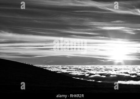 Pferde Silhouetten auf einem Berg über dem Hochnebel Stockfoto