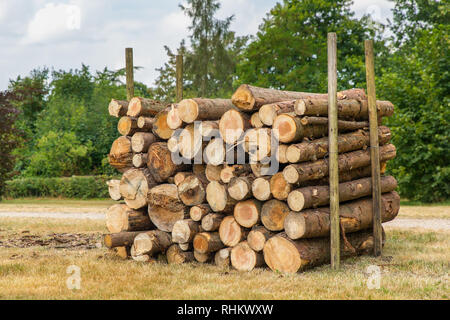 Angehäuft Pine Tree trunks zwischen Polen im niederländischen Park Stockfoto