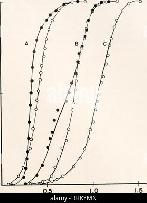 . Die biologische Bulletin. Biologie; Zoologie; Biologie; Meeresbiologie. Studien über Kalifornien LITTORINA 187 IOOT 50 Prozent der Bevölkerung mit gleicher oder geringerer Höhe. 0.5 Höhe der Schnecken, cm ABBILDUNG 2. Kumulative Kurven für die littorina Plana. ris Populationen von drei Environ- rungen. A. Whale View Point; B. Regal Rock Pools; c. trockenen Bereich, Regal Rock. Messungen im August 1951 gemacht, als Kreise dargestellt; für Messungen, die im Juli 1953 als Punkte dargestellt. Die Sandsteine bis zu einer Tiefe von etwa einer halben Zoll. Die oberen Schichten von Sand Partikel können leicht durch Abkratzen entfernt werden. Die Topographie ist characteristicall Stockfoto