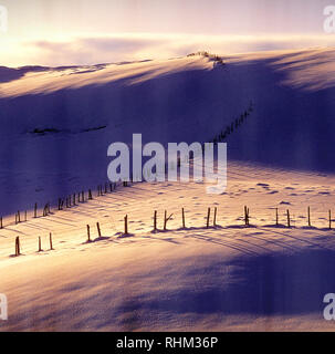 Hügel mit Schnee im Winter und Zäunen, Winter landschaft schnee Szene, Auvergne, Frankreich Stockfoto