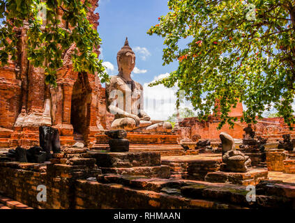 Thailand, atemberaubenden Blick auf Buddha Skulptur von Bäumen in Ayutthaya alte Tempel umgeben Stockfoto