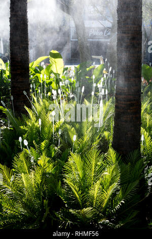 West Village Public Garden, West End, Brisbane, Queensland, Australien Stockfoto