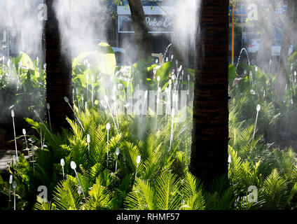 West Village Public Garden, West End, Brisbane, Queensland, Australien Stockfoto