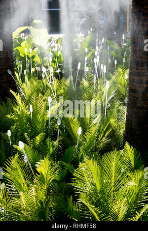 West Village Public Garden, West End, Brisbane, Queensland, Australien Stockfoto